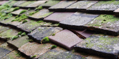 Speen roof repair costs